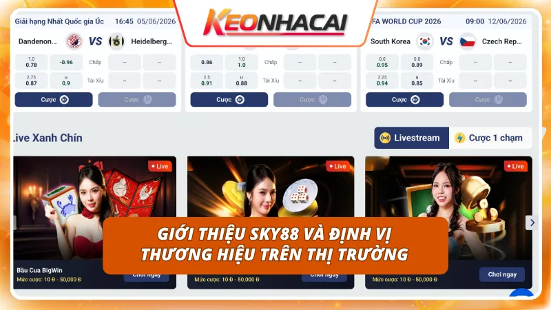 Sky88 1 Không gian giải trí trực tuyến đẳng cấp dành cho mọi cược thủ
