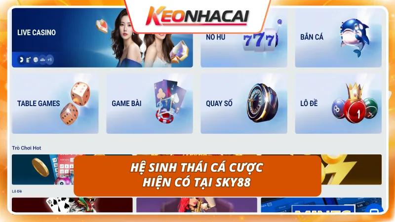 Sky88 3 Hệ thống sảnh cược phong phú thỏa mãn mọi đam mê