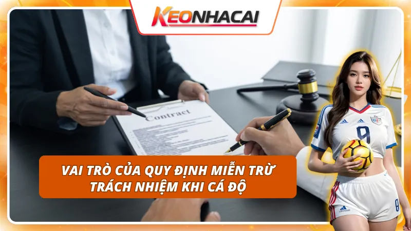 Tầm quan trọng của chính sách miễn trừ trách nhiệm khi cá độ