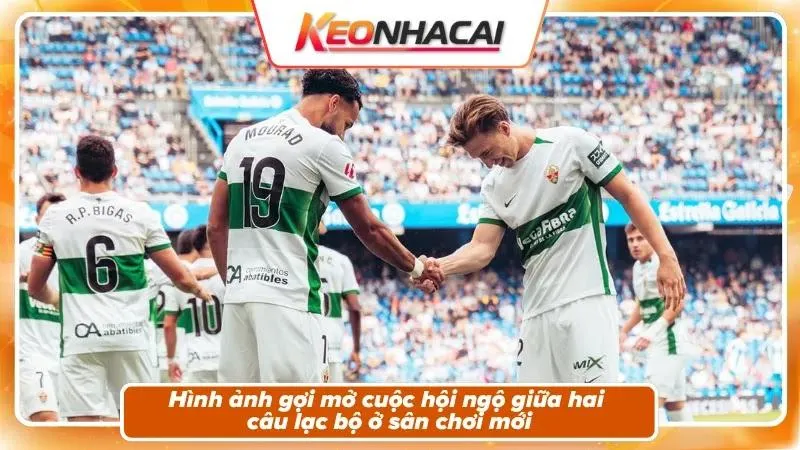 Nhận Định Deportivo vs Elche | Riazor Bừng Sáng Ngày Tái Ngộ La Liga 1 Nhận định Deportivo vs Elche: khung cảnh ngày mở màn