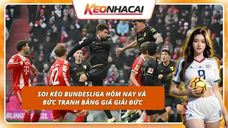Cập nhật nhanh biến động tỷ lệ để chớp lấy cơ hội đầu tư