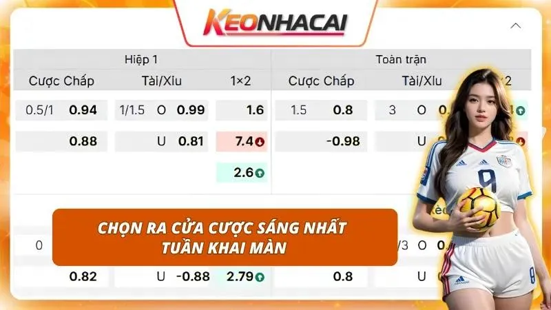 Dồn trọng tâm nguồn vốn vào những lựa chọn sở hữu lợi thế áp đảo